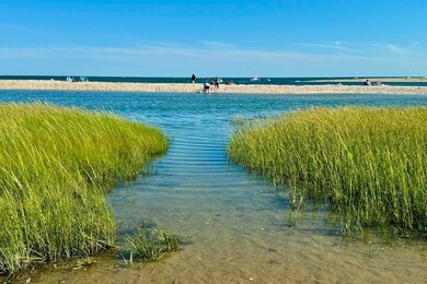 Beach life