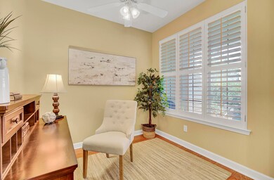 Study w 3 windows