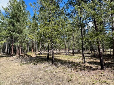 Nhn Libby Ln, Thompson Falls, MT 59873 - photo 2