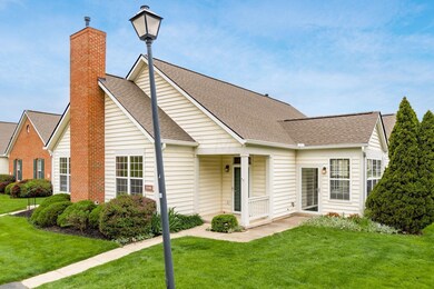 Corner Lot