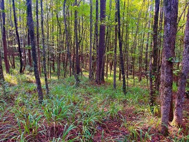 3050 James Dr NW, Wesson, MS 39191 - photo 7