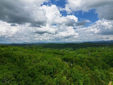 Tract 1 Century Ln, Blue Ridge, GA 30513 - photo 6