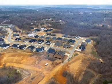 Lot 214 Cimarron Cove, Benton, AR 72019 - photo 6