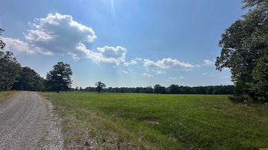 000 Ray King Rd, Judsonia, AR 72081 - photo 3
