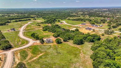 Lot 40 Leo Ln, Poolville, TX 76487 - photo 5