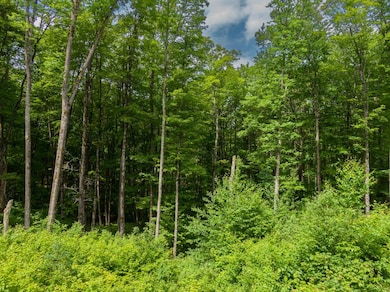 Off Pomeroy Lake Rd unit Lot 27, North of Presque Isle, MI 49947 - photo 7