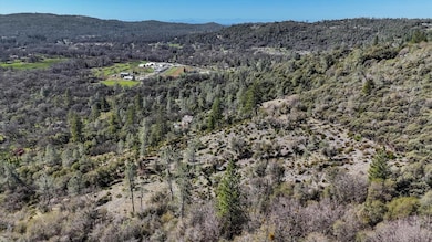 10530 Grubstake Trail, Rough and Ready, CA 95975 - photo 3