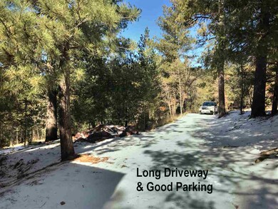 8 Big Bend Cut Off unit 6, Cloudcroft, NM 88317 - photo 2