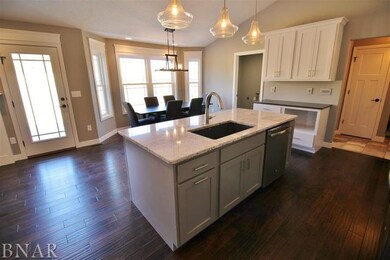 unlisted-address, Downs, IL 61736 - photo 3