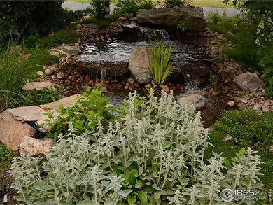 8008 Pebble Rd, Niwot, CO 80503 - photo 4