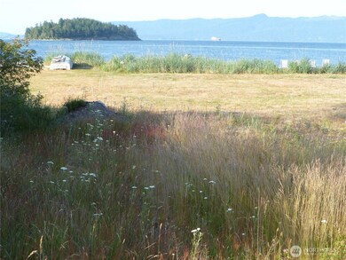 Again, the lot line is surveyed and some markers are in grass  to help.