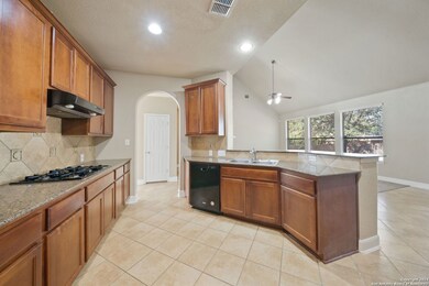 23923 Waterhole Ln, San Antonio, TX 78261 - photo 7
