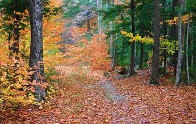 134 S Peak Rd unit 3, Lincoln, NH 03251 - photo 4