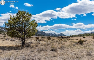 Lot 36 Marcey Rd, Westcliffe, CO 81252 - photo 7