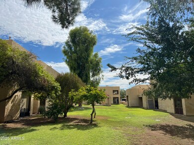 2165 E University Dr unit 223, Mesa, AZ 85213 - photo 4