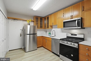 Skyline Plaza unit 502N, Baileys Crossroads, VA 22041 - photo 2