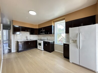 2713 W 16th St unit 3, Chicago, IL 60608 - photo 2