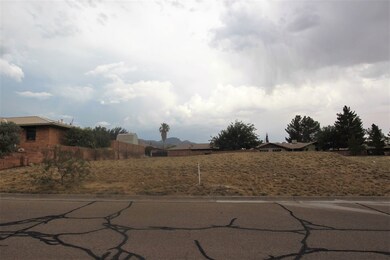 3024 El Dorado unit 265, Alamogordo, NM 88310 - photo 6