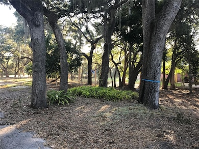 4407 S Shade Ave, Sarasota, FL 34231 - photo 7