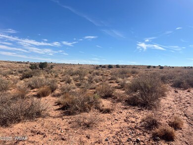 8362 Cupples Trail, Snowflake, AZ 85937 - photo 5