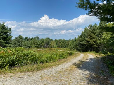 IMG_4510