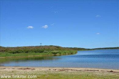 140 Watcha Club Rd, West Tisbury, MA 02568 - photo 4