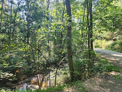 0 Mystic Mountain Blvd unit 24496664, Delray, WV 26714 - photo 5