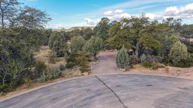 dji_fly_20240222_100104_633_170862560997