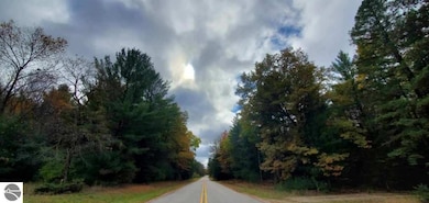 1240 Quigley Rd, West Branch, MI 48661 - photo 5