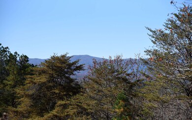 Additional View