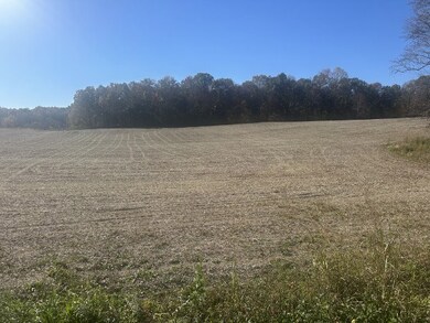 0 Petty Rd, Sparta, TN 38583 - photo 2