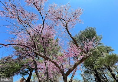 20131 Williams Dr, Culpeper, VA 22701 - photo 7