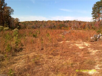 00 New Hope Church Rd, Asheboro, NC 27205 - photo 3