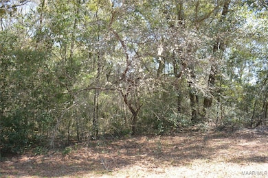 Lot 1 & 2 Blk G Oak Lake Dr, Level Plains, AL 36330 - photo 5