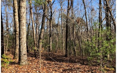 0 Abbott Top Rd unit 284034, Ellijay, GA 30540 - photo 2