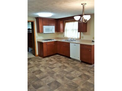 Kitchen Pic 1