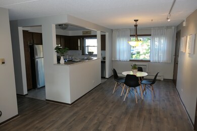 1001 S Euclid Ave unit 2N, Elmhurst, IL 60126 - photo 3