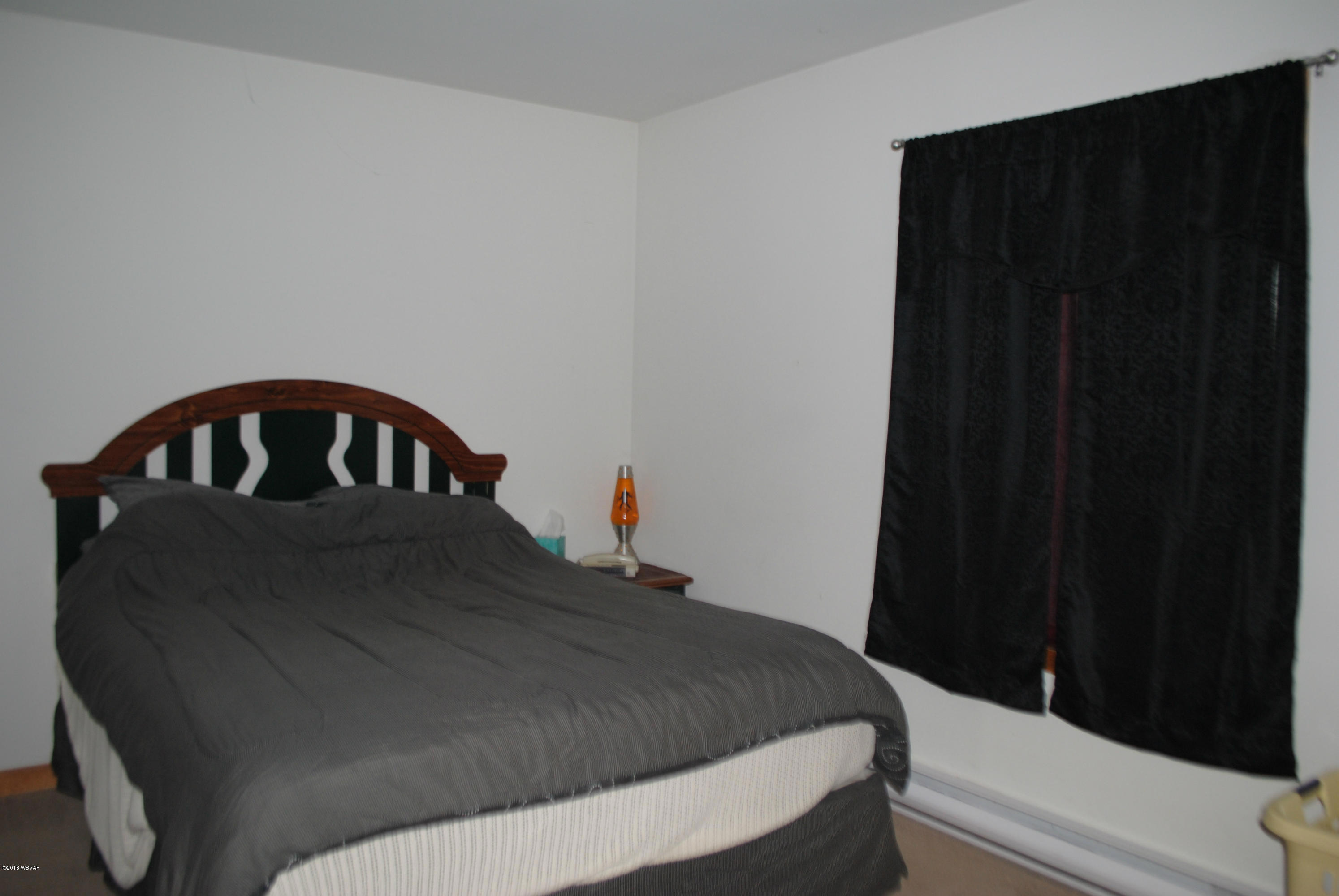 393 Gregg Run Rd, Hughesville, PA 17737 - photo 6