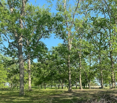 8 Neill Cove, Dundee, MS 38626 - photo 3