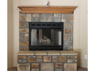 Fireplace.