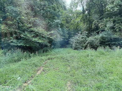 6 acres Trentham Rd, Newport, TN 37821 - photo 6