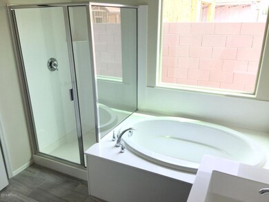 MASTER TUB AND SHOWER