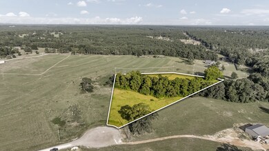 363 Private Road 3399, Big Sandy, TX 75755 - photo 2