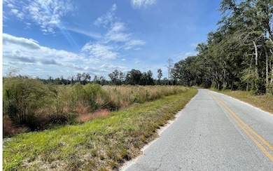 TBD Hawaca Dr, McAlpin, FL 32062 - photo 5
