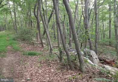 0 Unknown unit VASH119914, New Market, VA 22844 - photo 3