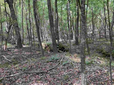 001 Pilgrim Rest Dr, Brandon, MS 39042 - photo 5