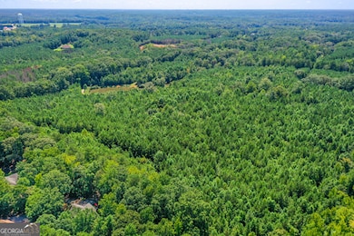 1206 + 0 Macedonia Rd, Newnan, GA 30263 - photo 5