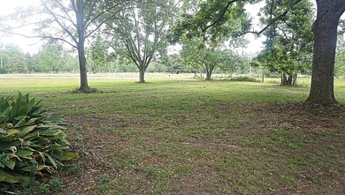 DSC03798_Fotor