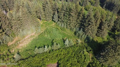 DJI_0800