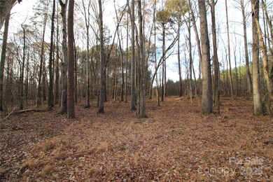 14.5+/-AC Pioneer Rd, York, SC 29745 - photo 5